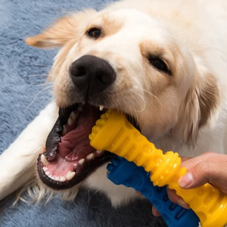 

Biting sound TPR dog toy pet bite resistant dumbbell stick grinding teeth cleaning dog toy stick