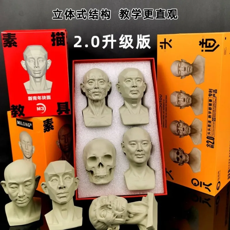 Art teaching aids sketch head model muscle plaster statue resin geometry statue still life ornament