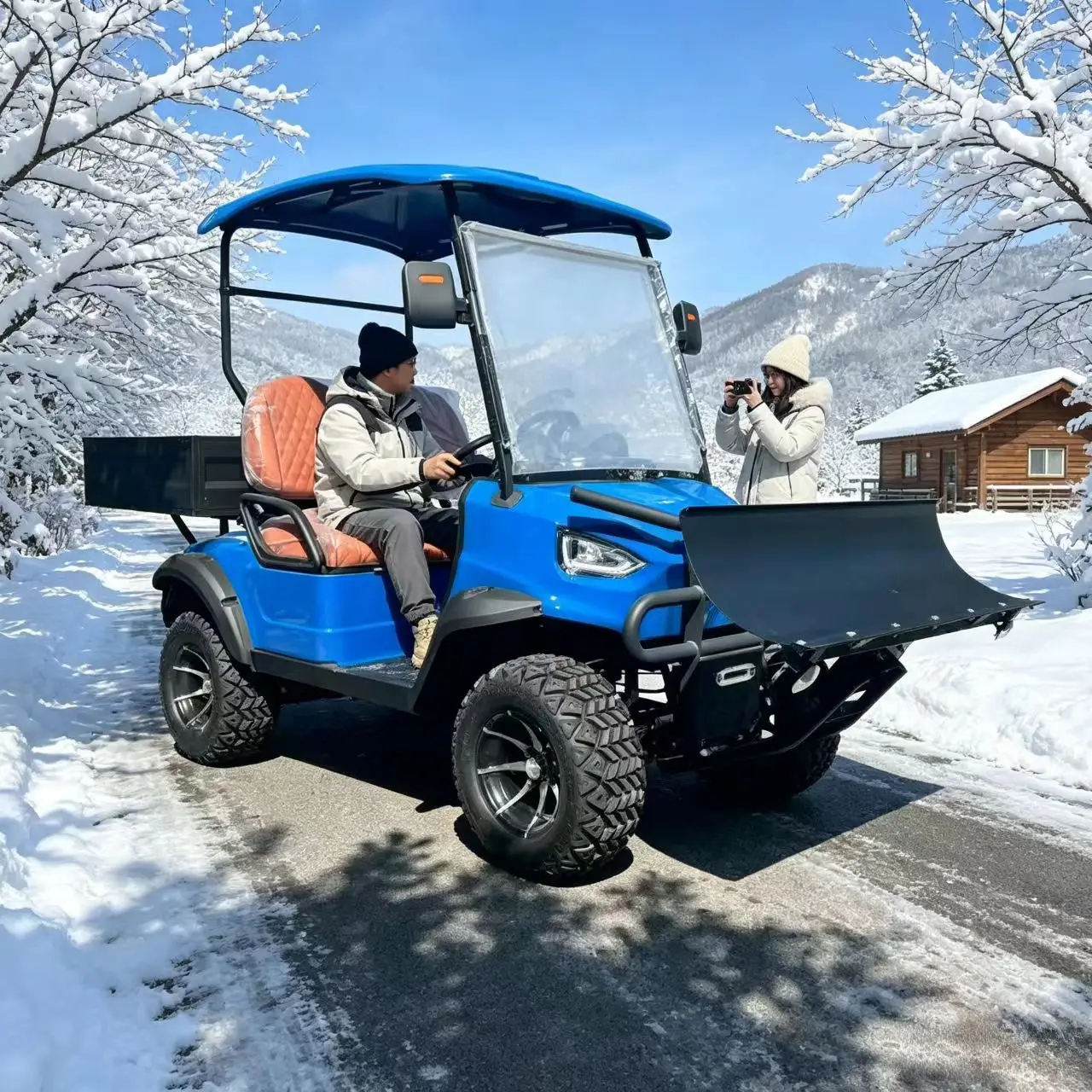Brand China 2 4 6 8 Seater High Quality Customized Color 48V/72V Off-Road Golf Cart 4000W/5000W/7000W Classic Hunting Golf Cart