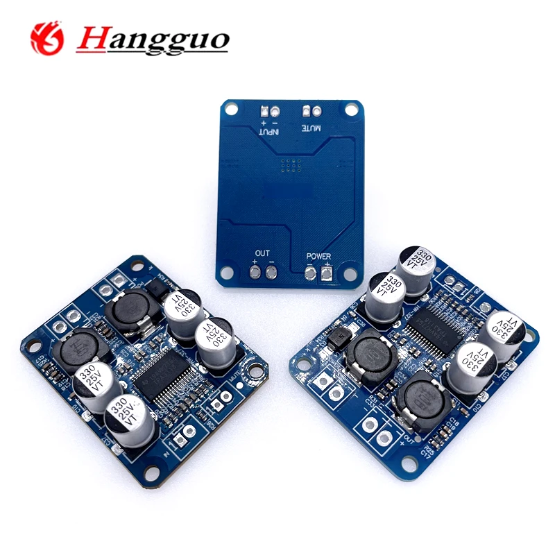 DC 12V-24V TPA3118 60W Mono Digital Audio Power Amplifier Board Amp Module 32P chip New original chip