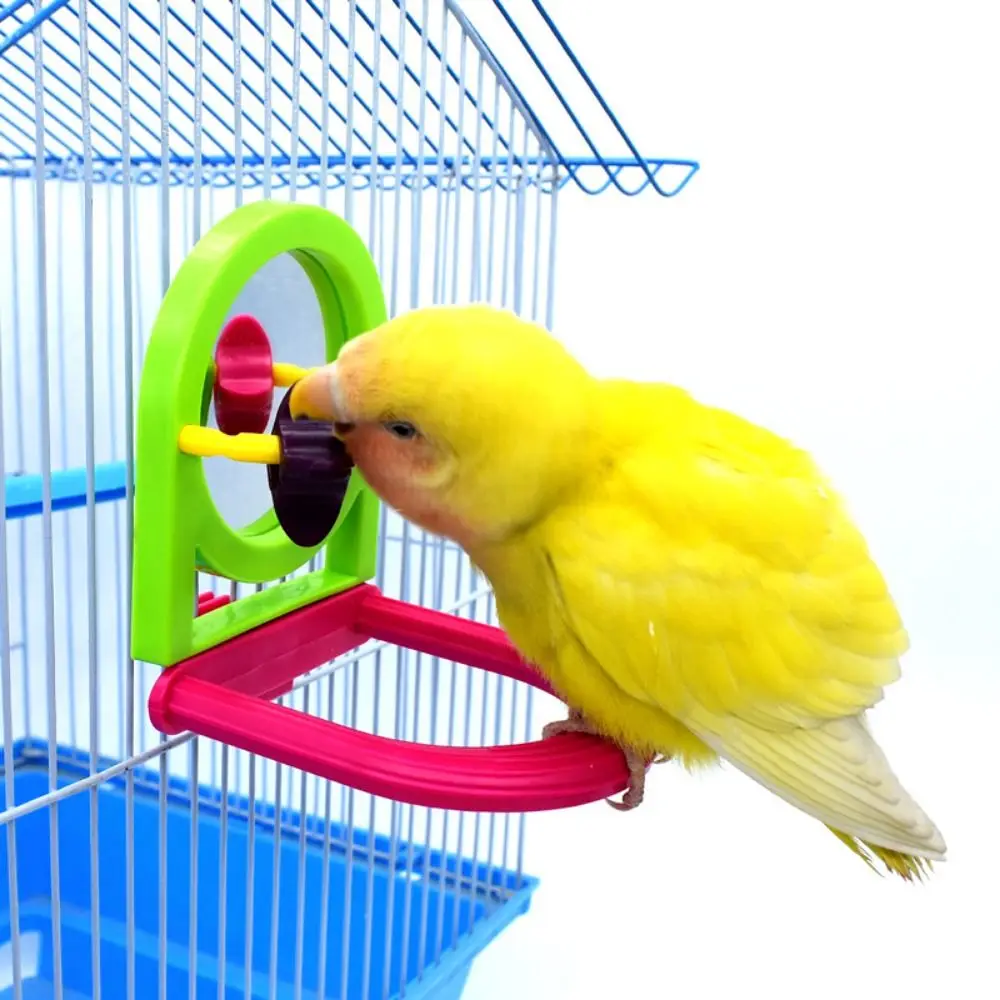 Random Color Parrot Bell Toy with Mirror Hanging Plastic Bird Cage Mirror with Bell Removable Parrot Basketball Toy Hummingbirds