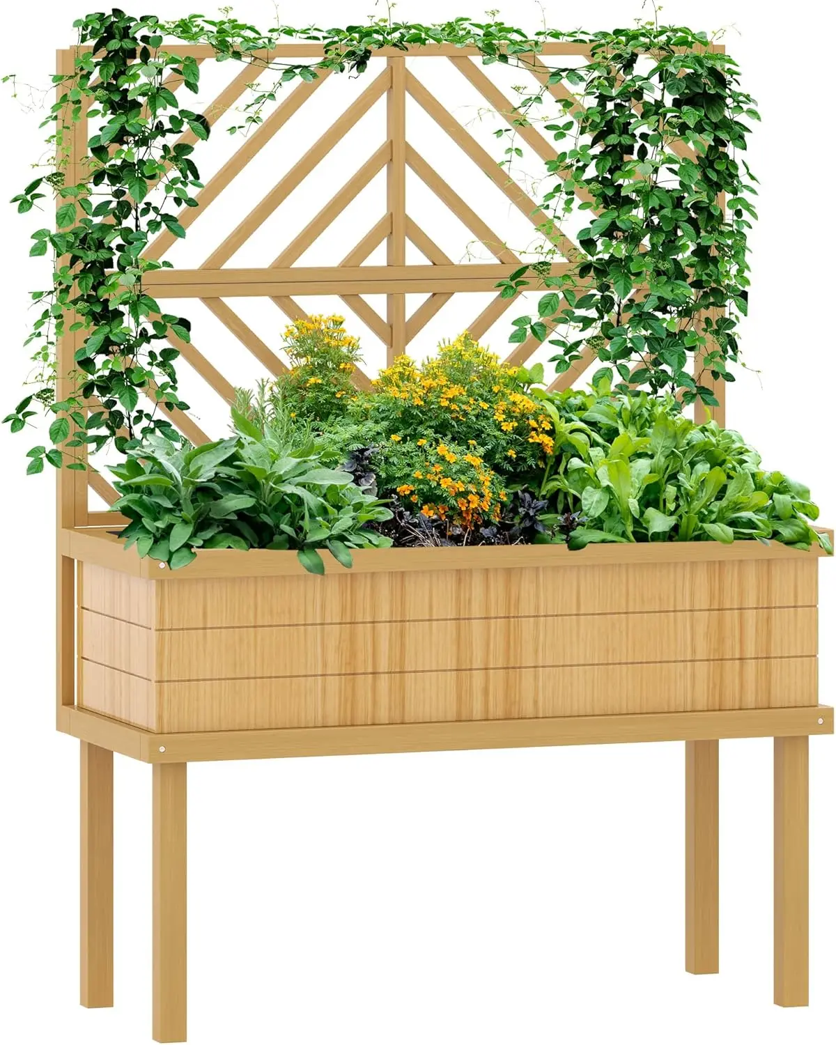 

Raised Garden Bed with Trellis for Climbing Plants, Vegetable, Grape Vines, Elevated Planter Box with Legs, Drainage Holes and F