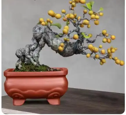 Solid Color Purple Clay Flower Pot Retro Small Bonsai Flower Simple Succulent Flower Potted Plant  For Home Office Decor