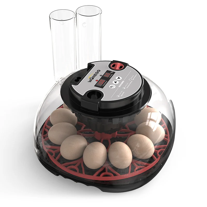 

ABS Material 12 Hatching Machine Egg Chicken Incubator and Hatching Machine Incubateur Automatique Intelligent