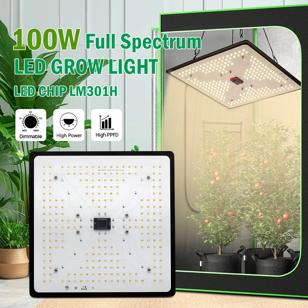 LM301H LED تنمو ضوء 100 واط عكس الضوء الطيف الكامل الكم مجلس Fitolamp ضوء للداخلية الخضار زهرة النباتات مصباح #2