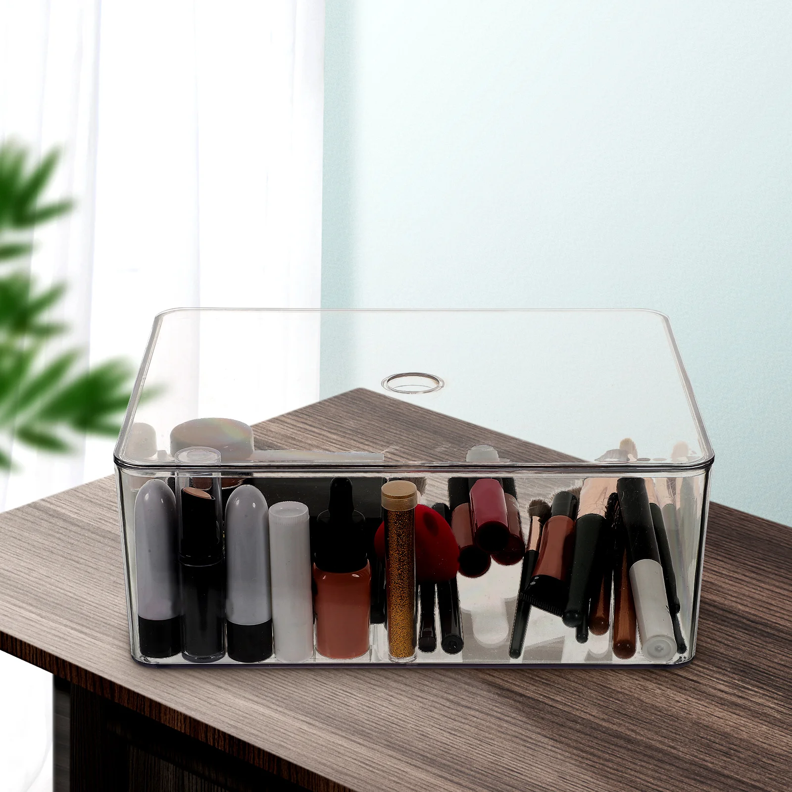 

Lipstick Organizer Dustproof Storage Box Clear Boxes Underwear Plastic with Lids