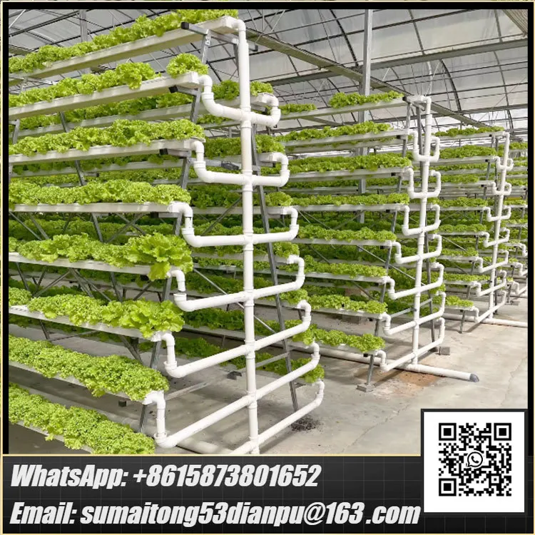 Family Hydroponics NFT 10X10 Automatic Pump High Quality Greenhouse Round PVC Pipe System