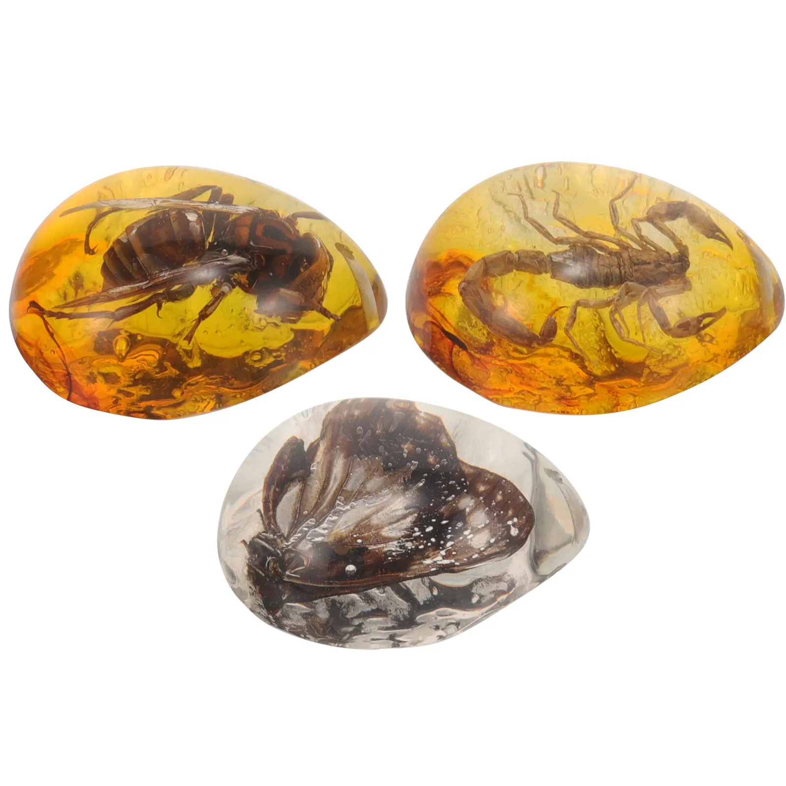 

3pcs Insect Amber Specimen Pendant Decor Resin Ornament Beeswax Craft Beautiful Details Exquisite Design Durability Strength