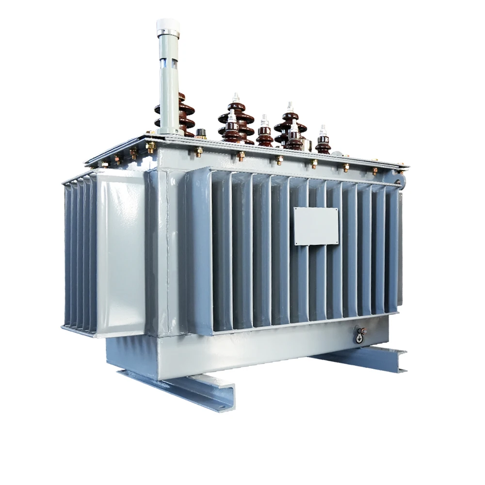 

50-60Hz Oil Immersed Power Transformer 10kV High Voltage Metal al Transformer 100kVA Rated Capacity 110kV Input Voltage