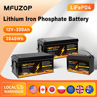 Datouboss 12v 24V 48V Portable Rechargeable LiFePO4 battery built in smart BMS deep cycle 10000 + for RV Solar no VAT