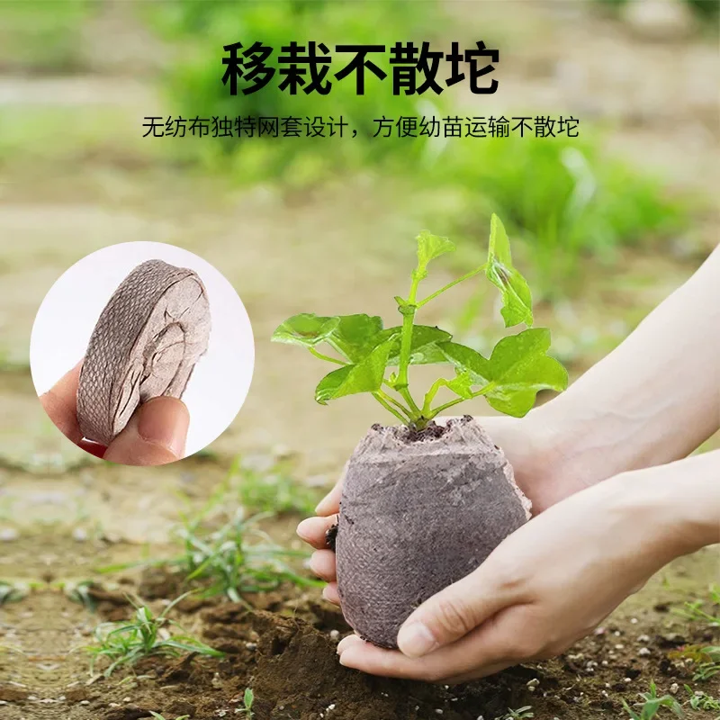 5/10pcs 3cm Jiffy Peat Pellets Seed Starting Plugs Pallet Seedling Soil Block Poe Operations To Improve Efficiency Seedling Soil