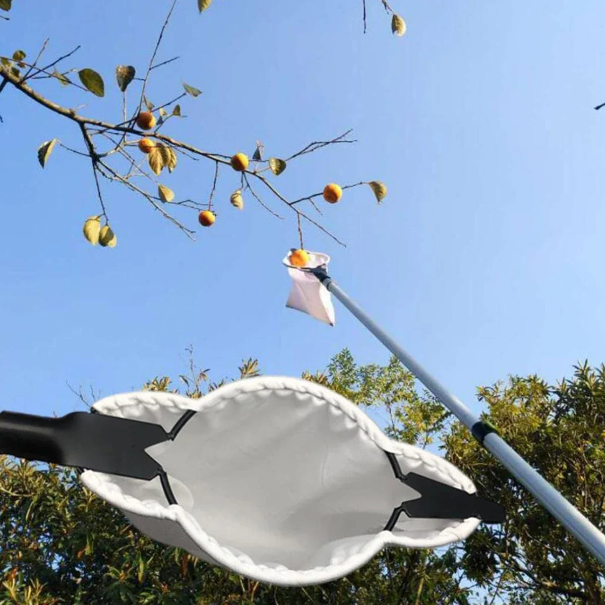 Metal Fruit Picker Orchard Gardening Apple Peach High Tree Picking Tool Big Fruit Catcher Collection Pouch Farm Garden Supplies