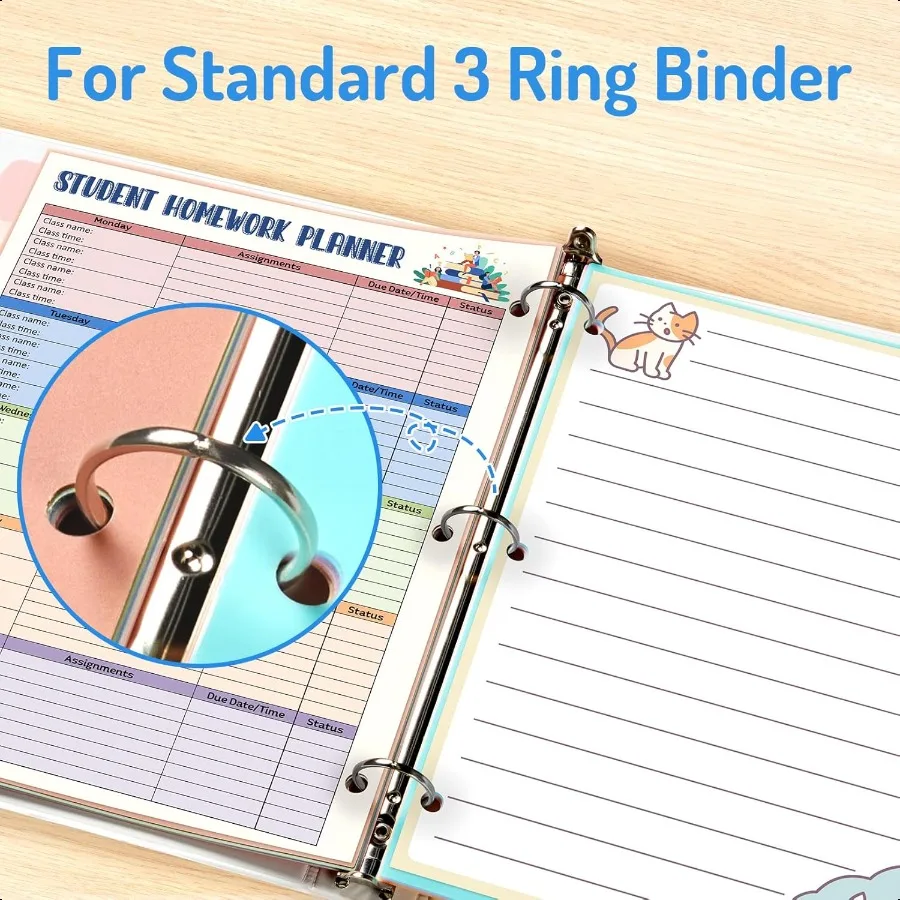 8Tab Binder Dividers with Tabs Big Tabs WriteErase Plastic Dividers for 3 Ring Binder Binder Tabs for Organizers 3 Ring Binder