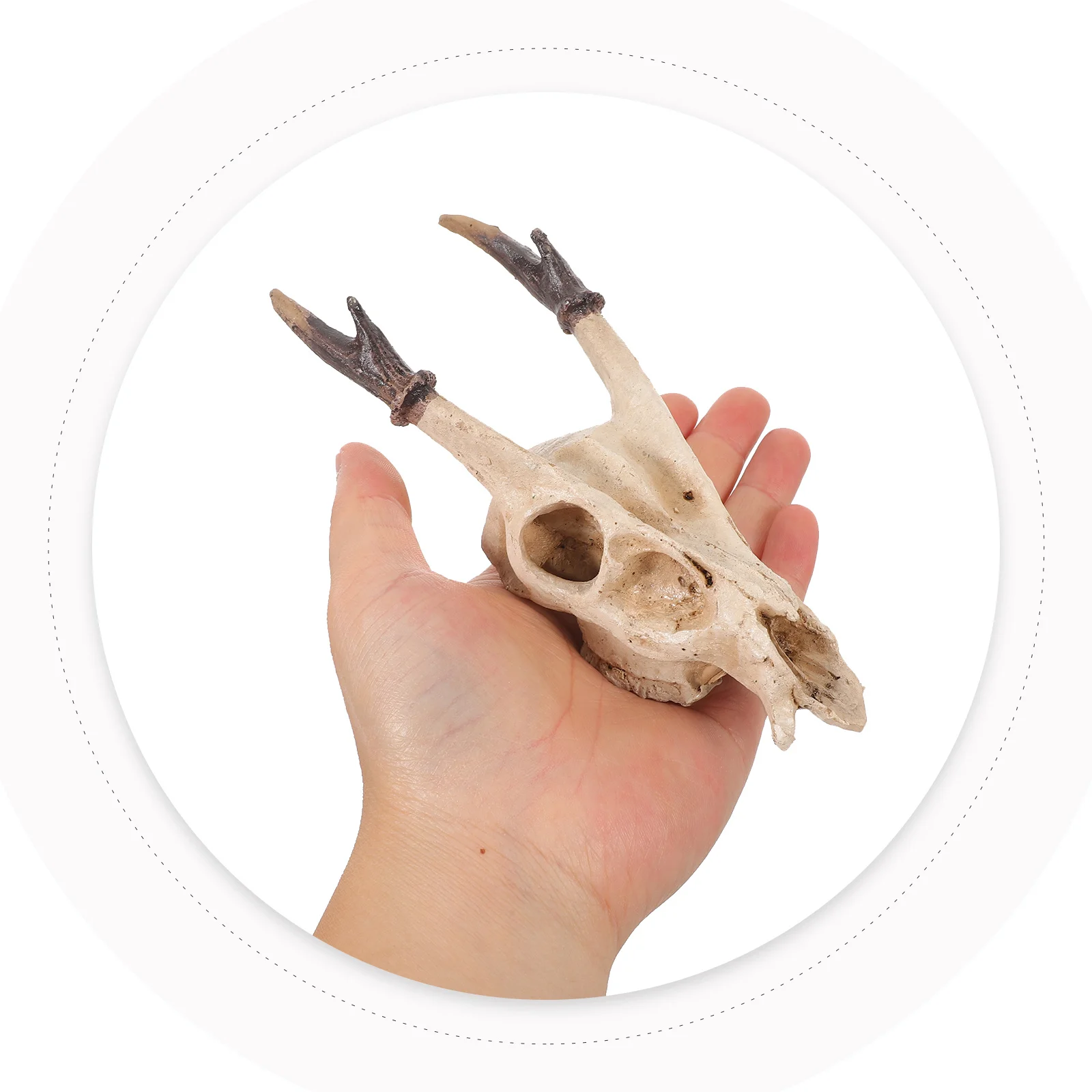 

Realistic Muntiacus Muntjak Skull Reptile Hideout Resin Tank Decor Lizards Geckos Snakes Turtle Accessories Snake Habitat Skull