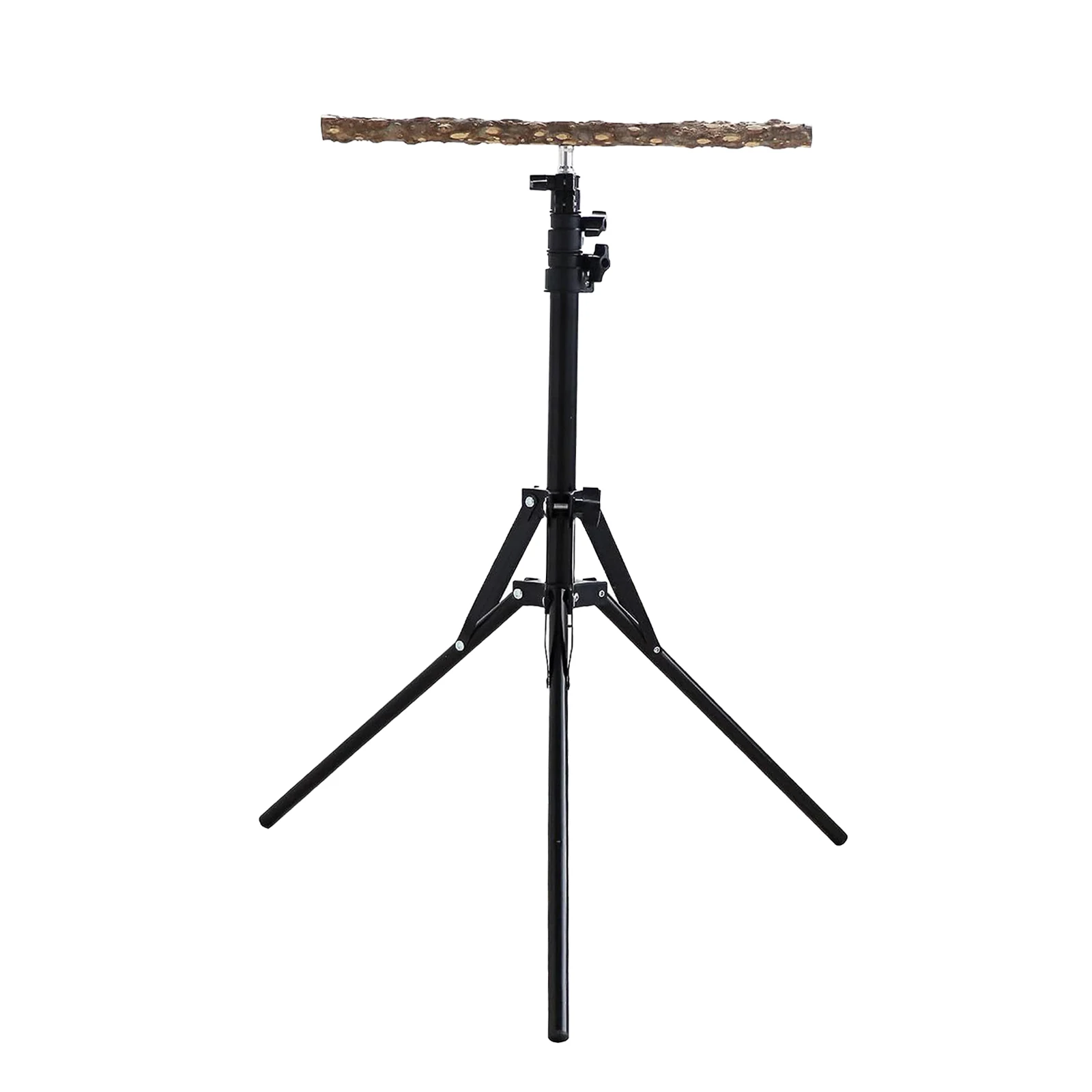 Parrot Perch Toy Bird Training Perch Stand Height Adjustable for Cockatiels Lovebirds Finches Accessories