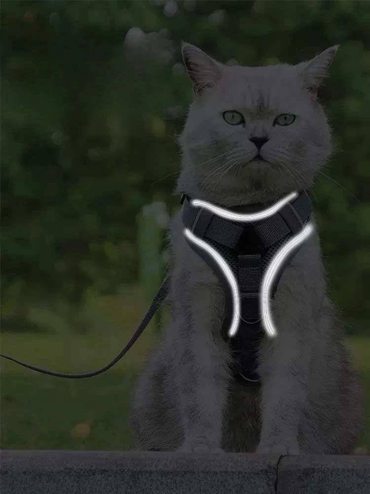 Katzen leine Weste Typ Outdoor Spezial Anti-Break Kragen Walking Cat Leine automatischer Teleskop gurt