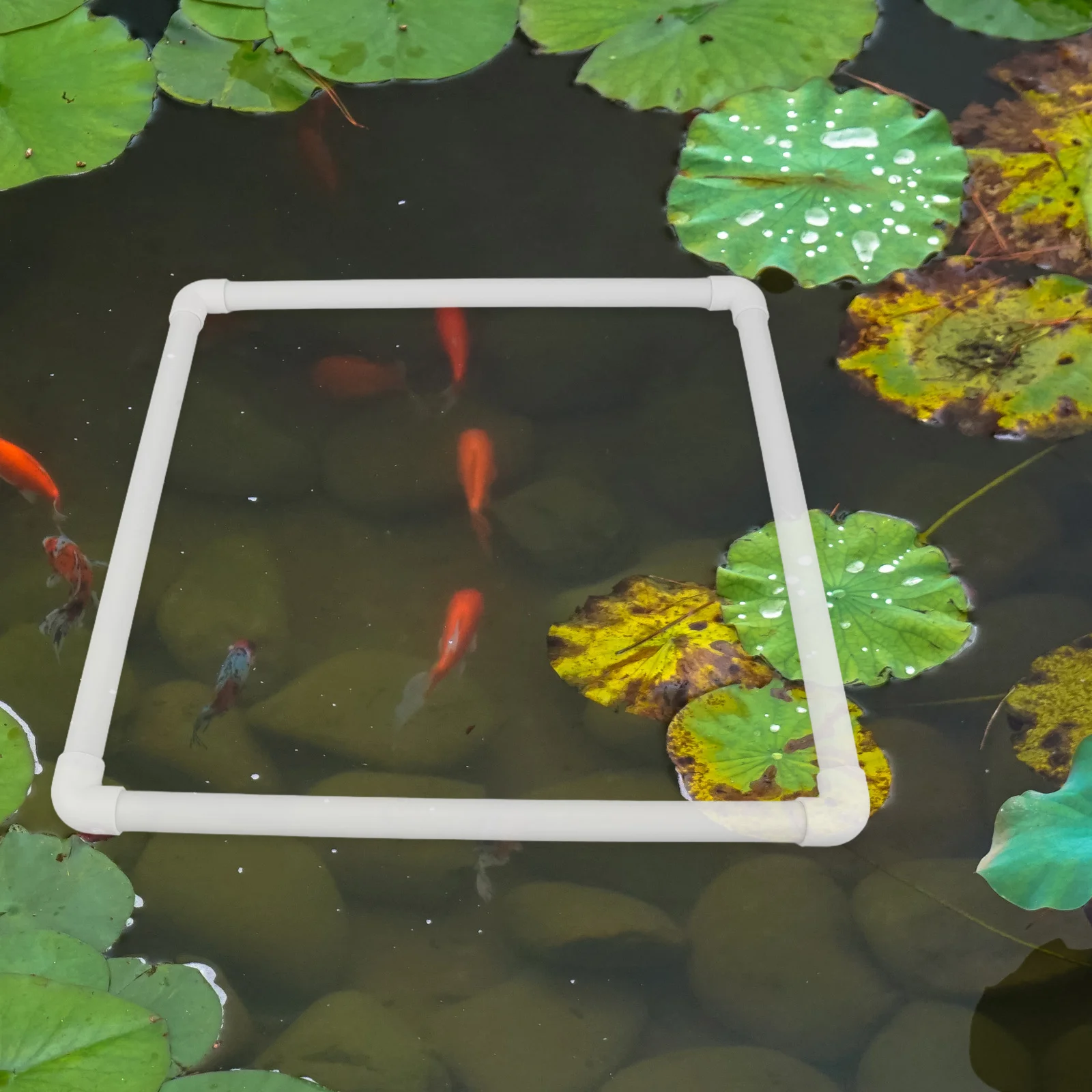 

Square Floating Plant Barrier Aquarium 40Cm Fish Tank Feeding Ring Reusable Duckweed Separator Floating Fish Feeder Pond