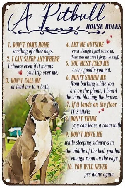 Vintage Metal Tin Sign A Pitbull House Rules You Will Never Pee Alone Again Rustic Wall Decor For Home Bedroom Bar Cafe Club 12x