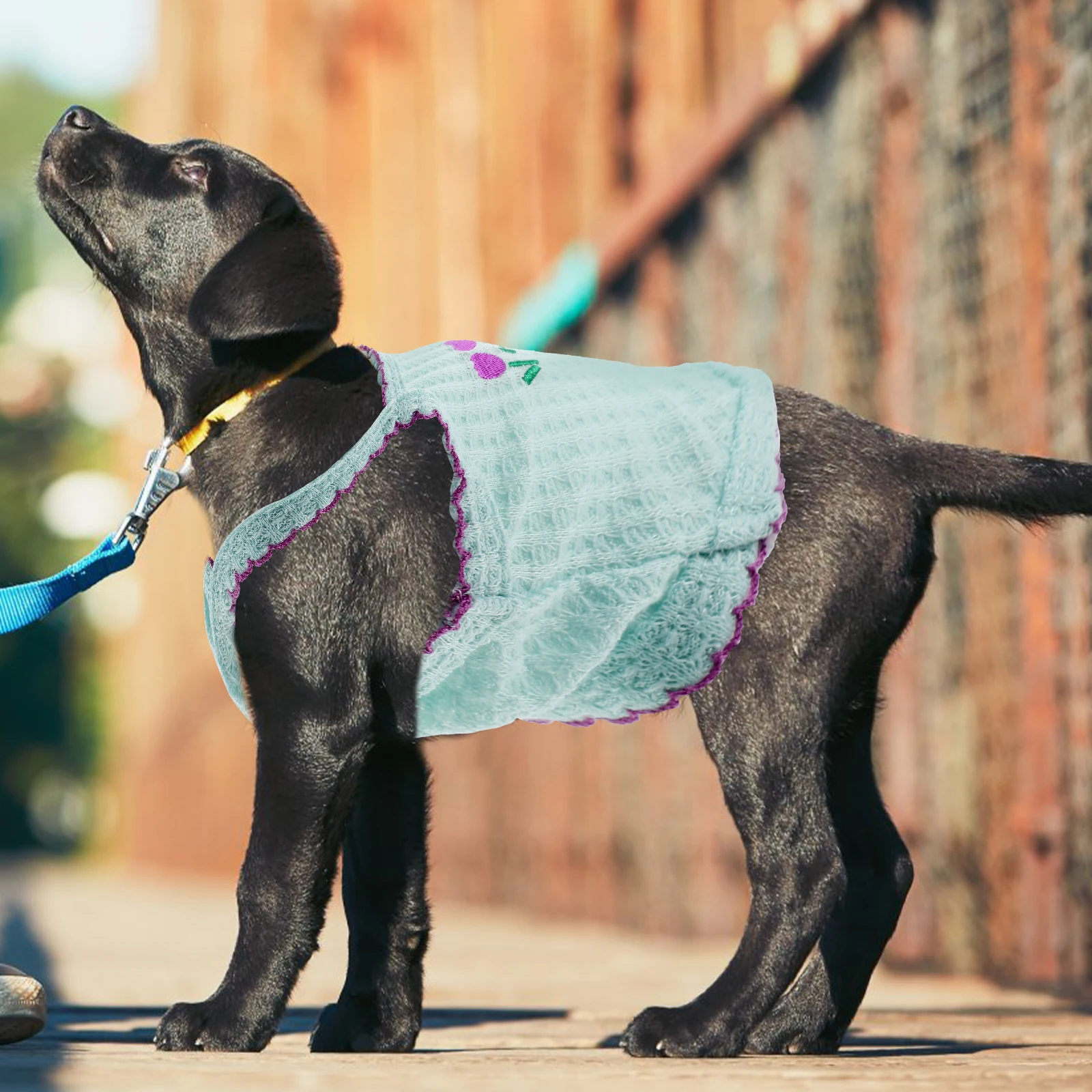 

Summer Pet Vest Floral Embroidery Puppy Dress Lovely Dog Clothes Washable Clothing Dog Cat Fashion Accessories