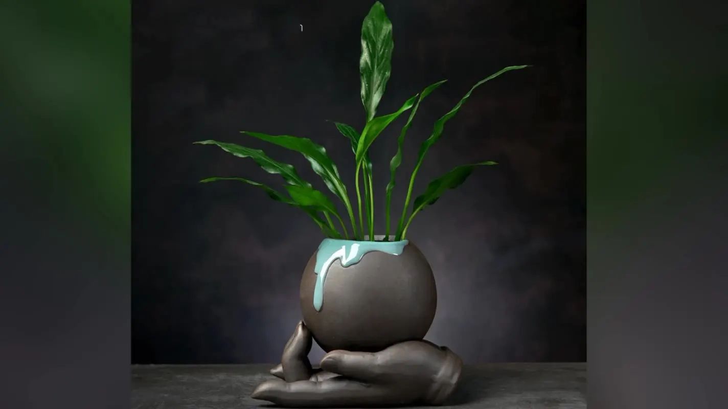 

Creative Ceramic Flowerpot: The Perfect Hydroponic Plant Container for Your HomeLooking for a unique and innovative way to disp