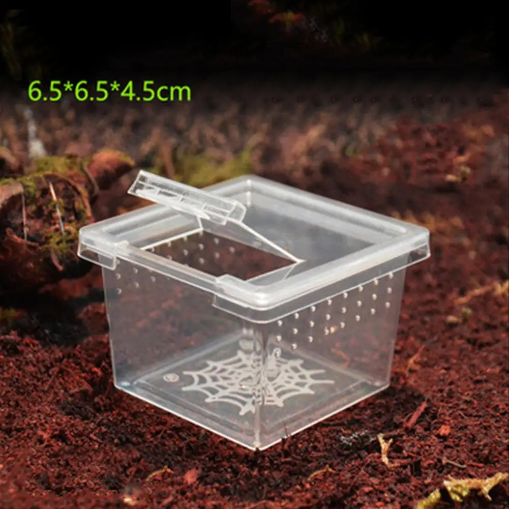 Reptile Breeding Box With Flip Cover Transparent Breathable For Frogs Snake Spider Drop Shipping