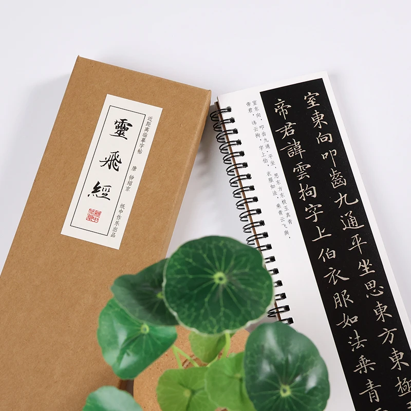 Ling Fei Jing Small Regular Script Calligraphy Copybook Traditional Chinese Calligraphy Brush Pen Practice Copying Writing Books