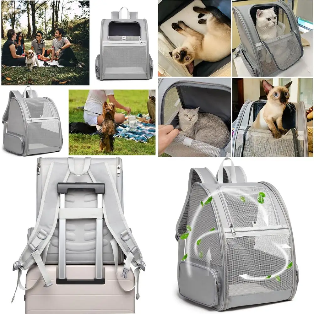 

Рюкзак-переноска для домашних животных для маленьких кошек и собак | Вентилируемая конструкция, ремни безопасности, опора для пряжек, складной | Разработан для путешествий,