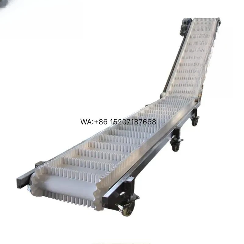 Wmwmnu for Motor Z Conveyor Belt 5m Long Light Duty Nylon Polyurethane Material Sorting System Customizable Robust