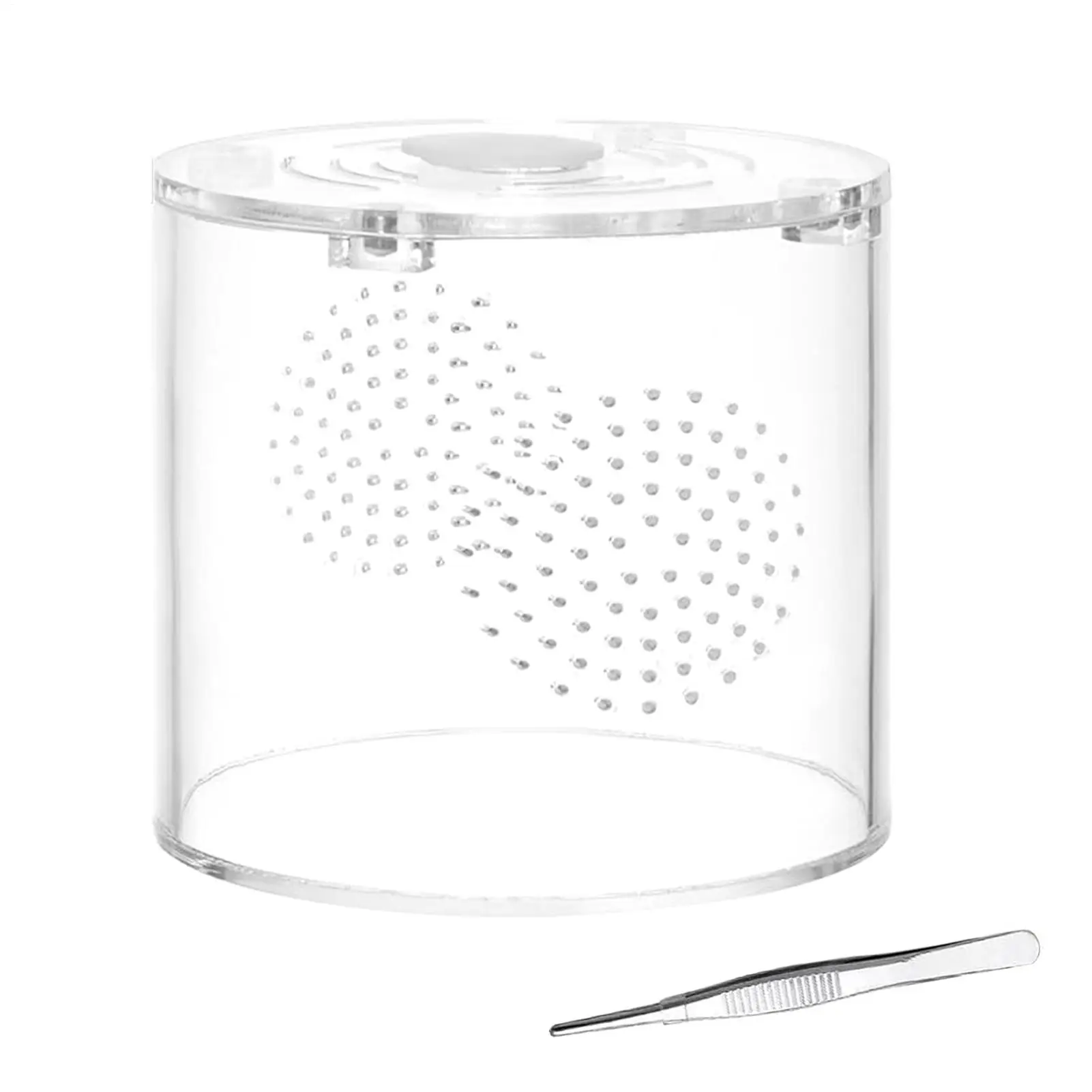 Tarantula Enclosure 4x4x4in Small Clear Acrylic Escape Proof Ventilation Spider Keeper Enclosure For Hermit Crabs Snails Praying