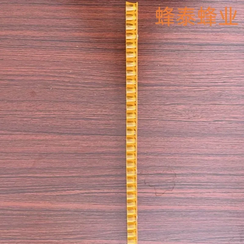 30pcs Single Row Tool for Producing Royal Jelly, Breeding Royal Jelly, Bee Tools, and Royal Jelly Table