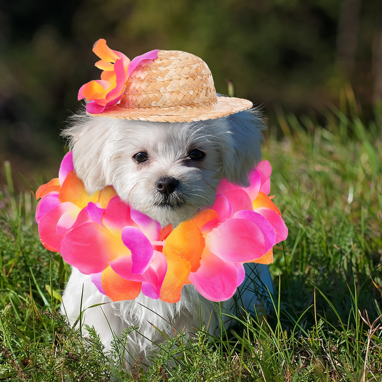 

1 set 1 Set Summer Pet Straw Hat Dog Costume Party Clothing For Small Dogs Hawaiian Garland Puppy Accessories Light Comfortable