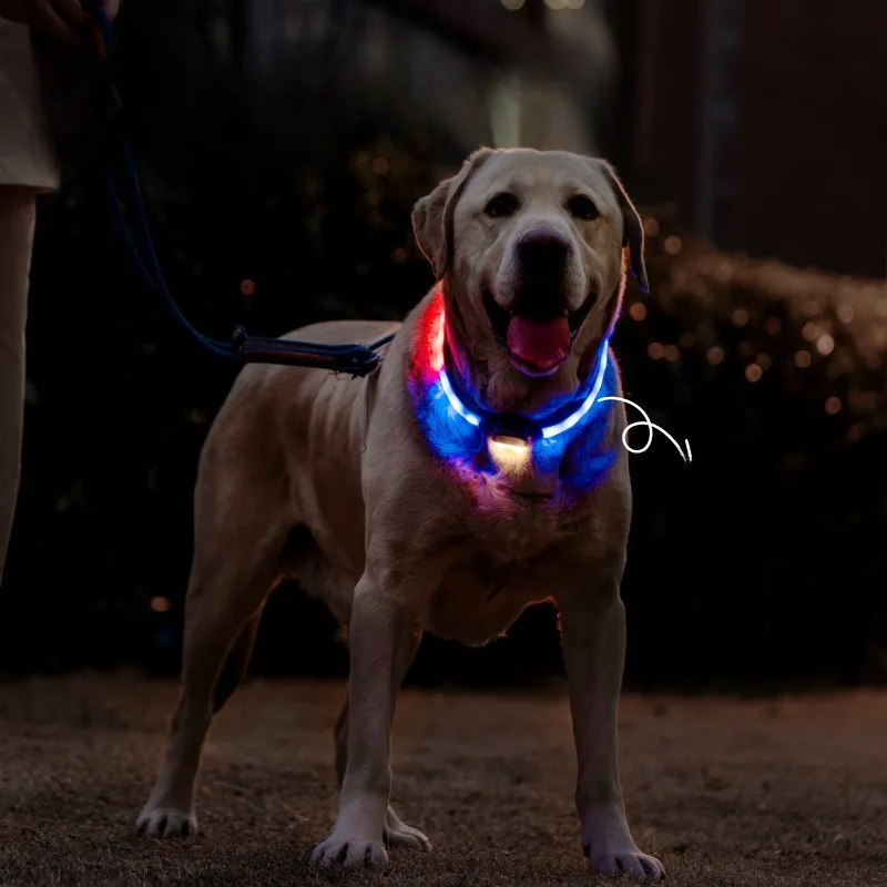 Meow Hu Wang Ye USB Charging Adjustable Length Dog Luminous Collar Silicone Led Pet Luminous Collar