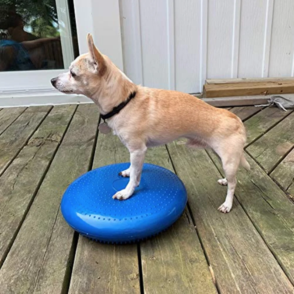 Pet Dog Balance Round Ball Sports Fitness Rehabilitation Hip And Knee Surgery After Muscle Atrophy Balance Agility