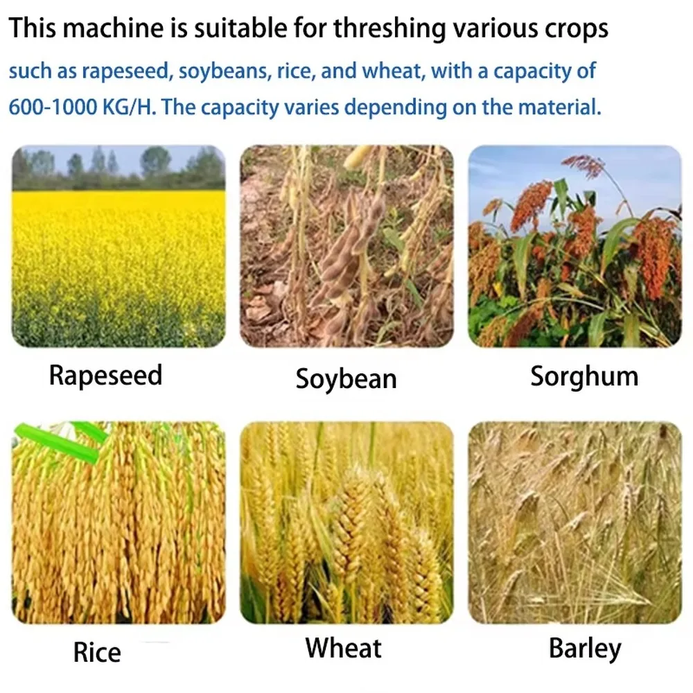 Multifunctional Grain Thresher Machine for Rice Wheat Soybean Rapeseed Millet Agricultural Paddy Threshing Equipment