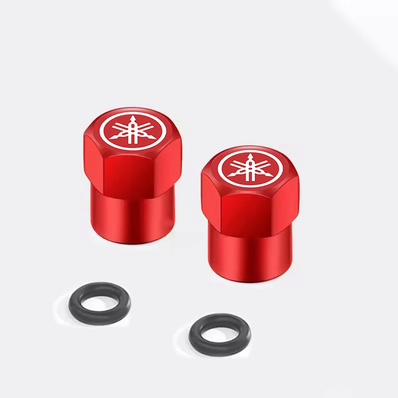 Рисунок 4 - Для Yamaha R1 R3 R25 Mt-09 Mt07