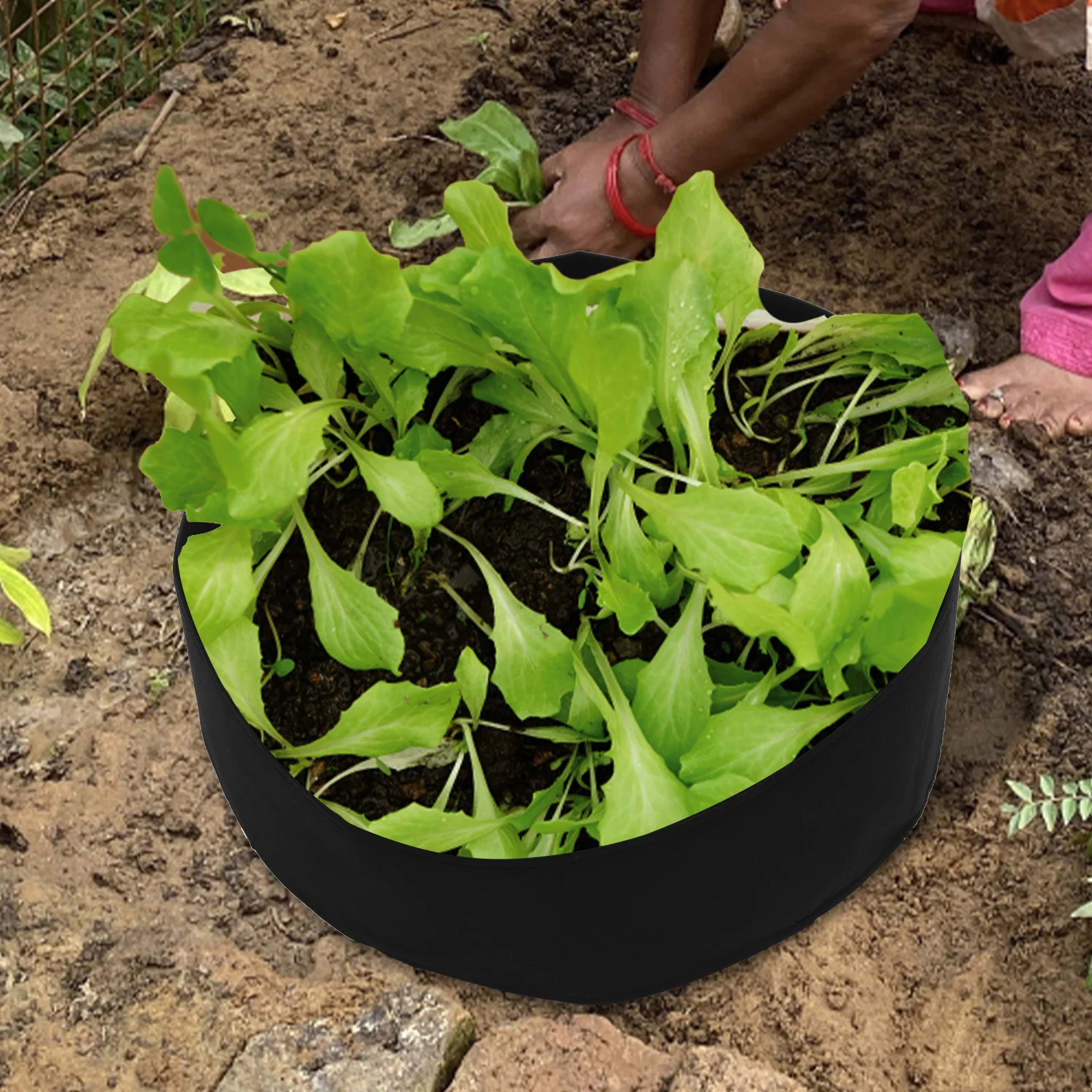 

2 Pcs Felt Planting Bags Moveable Container Planter Garden Grow Flowerpot Growing