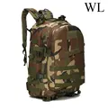WL