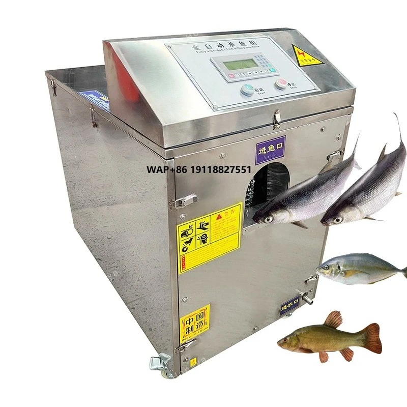 Automatic High-Speed Tilapia Gutting Cleaning Fish Killing and Viscera Removing Machine
