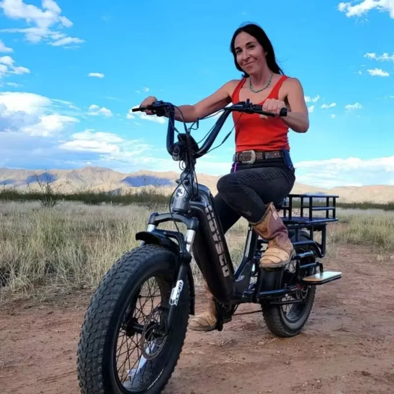 UK/EU Stock Fat Tire E-Bike for Women, Yeestep/Hovsco Style Step-Thru Electric Cycle, Comfortable Daily Commuter