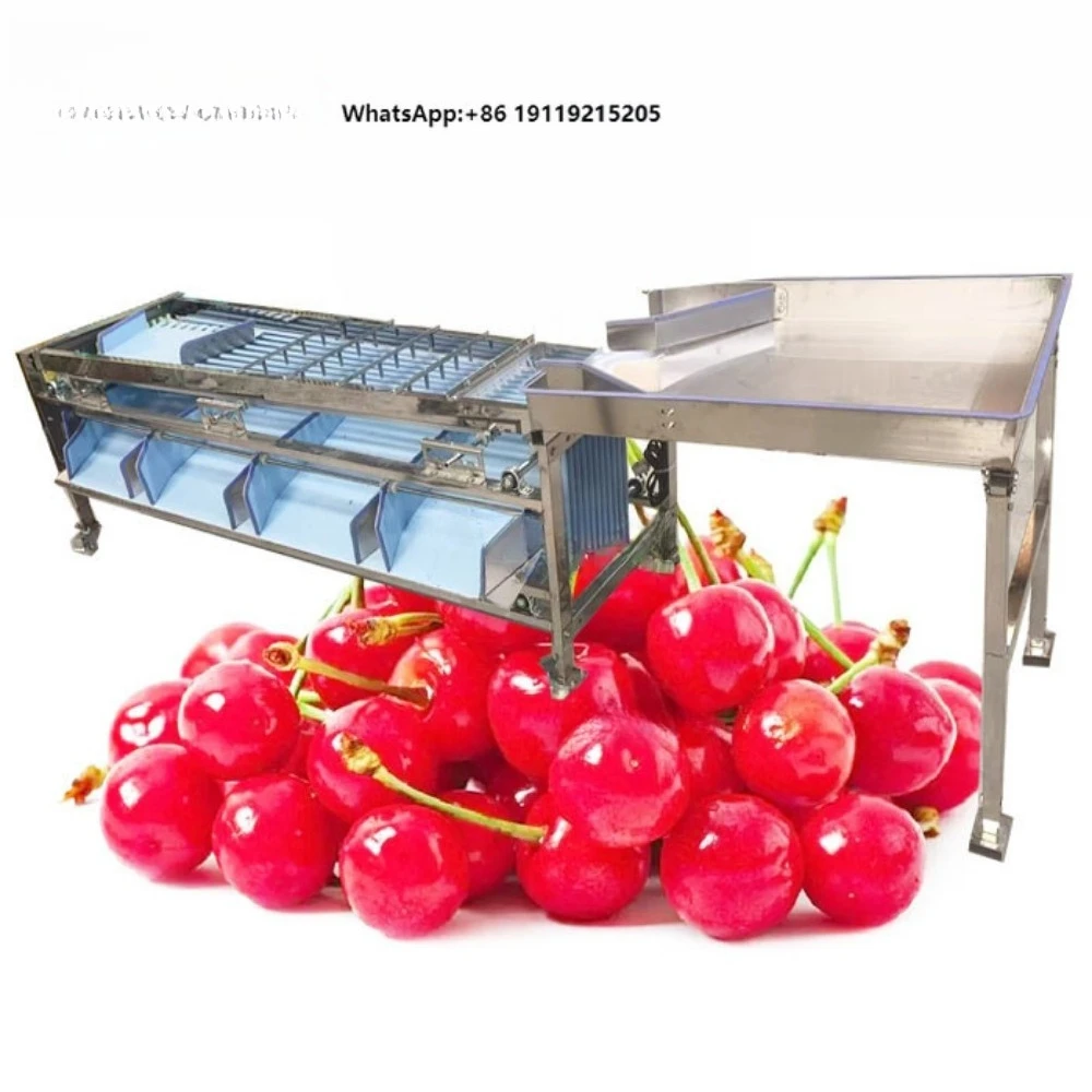 Automatic Cherry Size Grading Machine / Fruit Cherry Track Type Size Sorting Machine