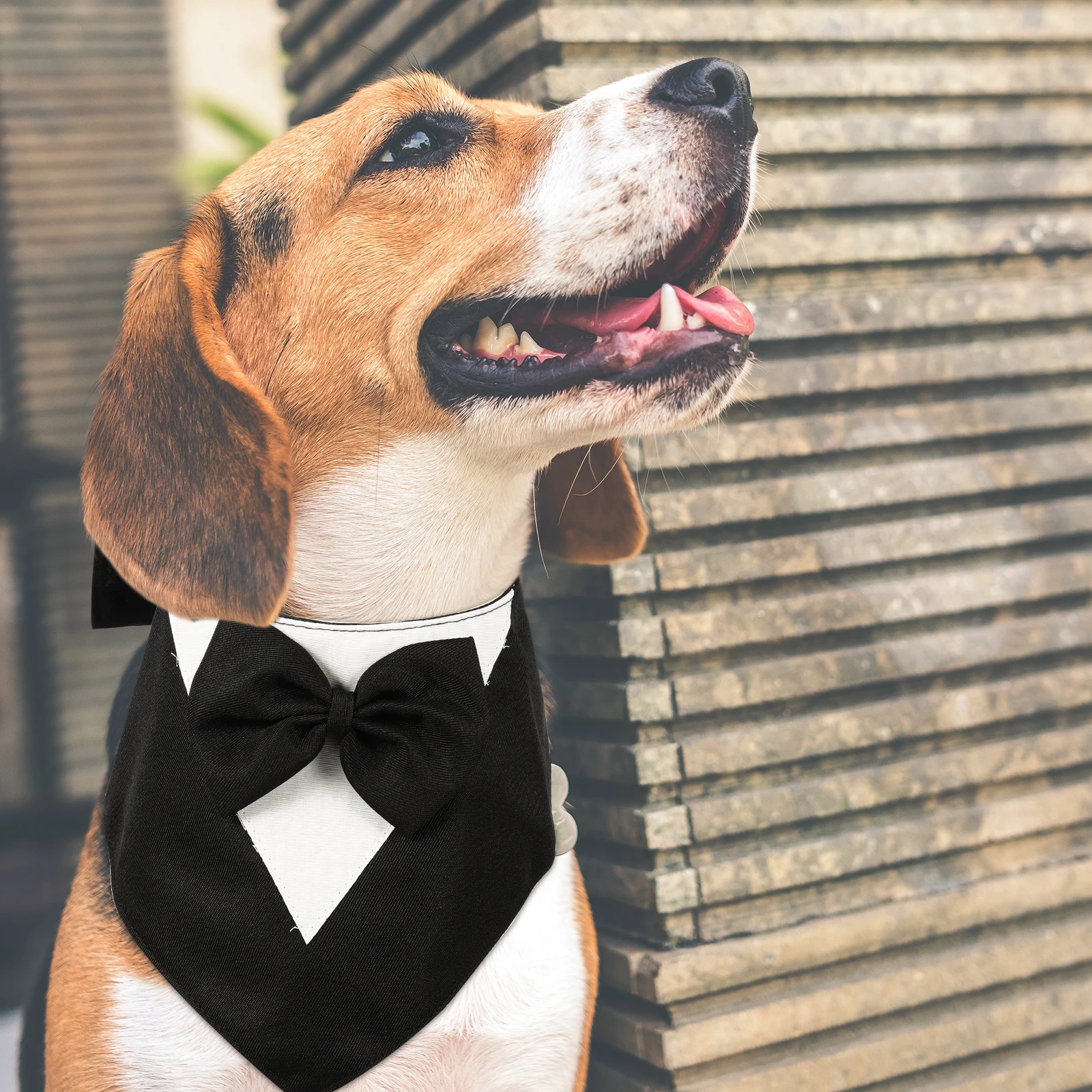 

Pet Birthday Necklace Dog Bandanas for Large Dogs Costume Accessories Bow Tie Scarf