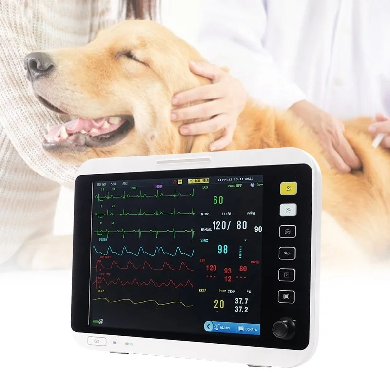 

Pet Clinic Veterinary Equipment Animal CO2 Veterinarios Portable Multiparametro Veterinary Multi Vet Monitor