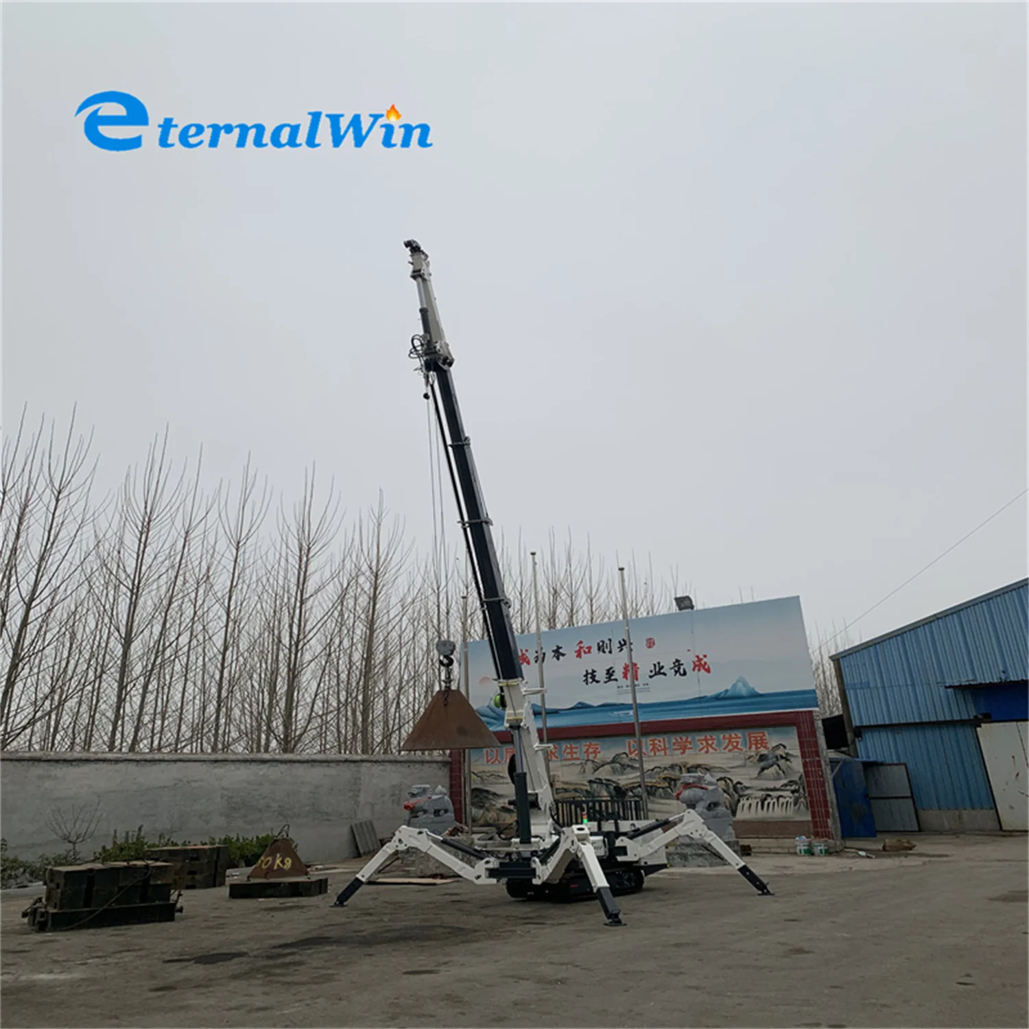 

CE/EPA Spider Crane Diesel Engine Spider Crawler Crane with CE Certificate