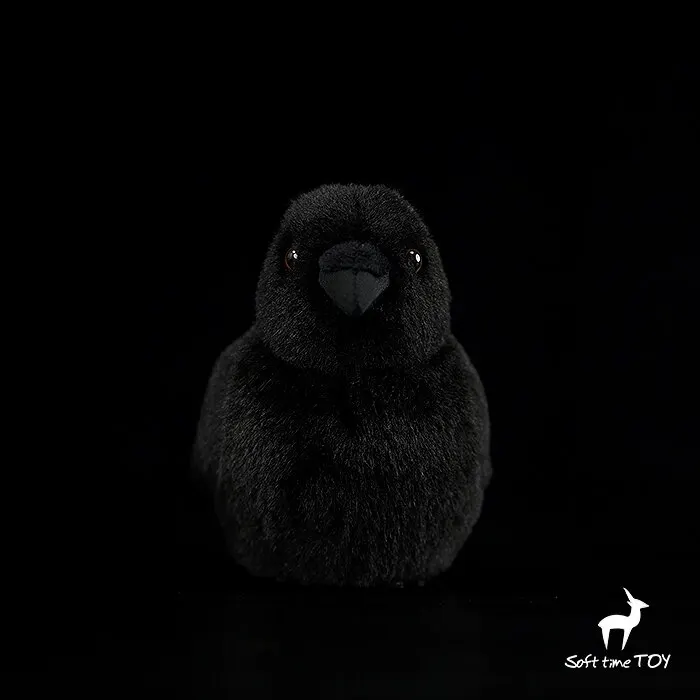 Large-billed Crow,Corvus macrorhynchos, Knickknack,nicknack,Small ornaments and miniature models