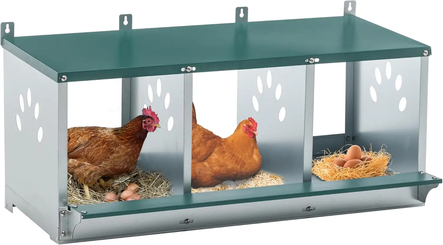 

Chicken Egg Laying, Metal, 3 Compartments, Fit for Different Breeds