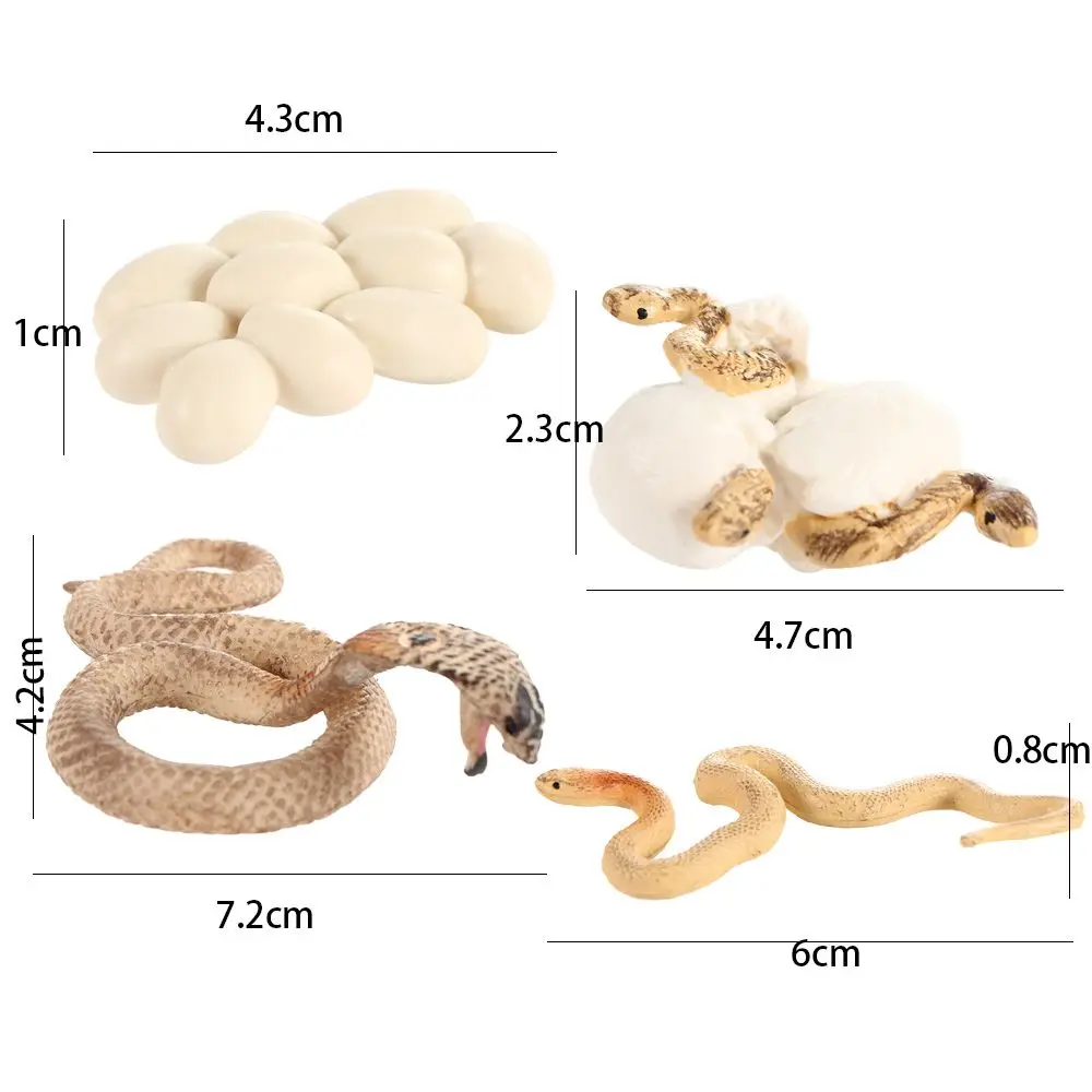 Simulación de juguetes de aprendizaje de animales, cocodrilo cognitivo, ciclo de crecimiento de vida, modelo humano primitivo, simulación de Cobra, evolución humana