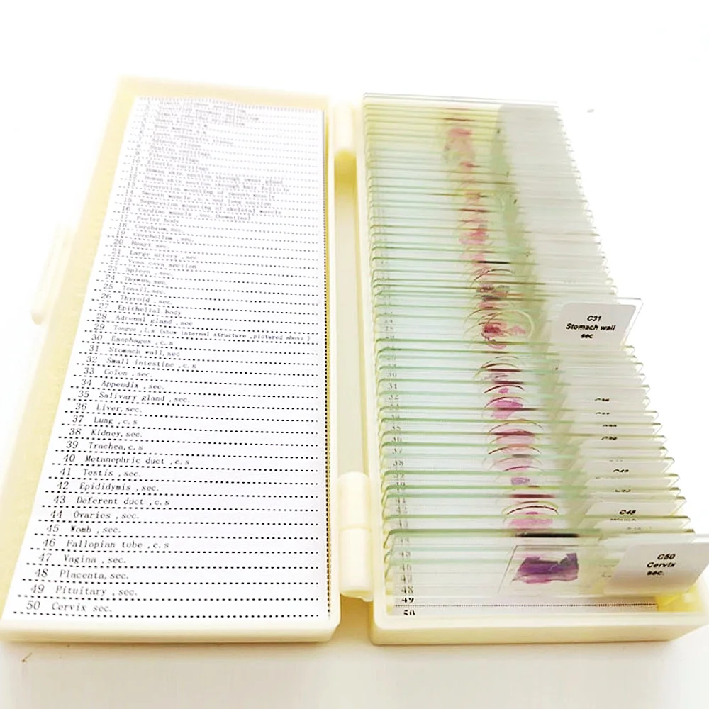 50 Pieces Mixed His…