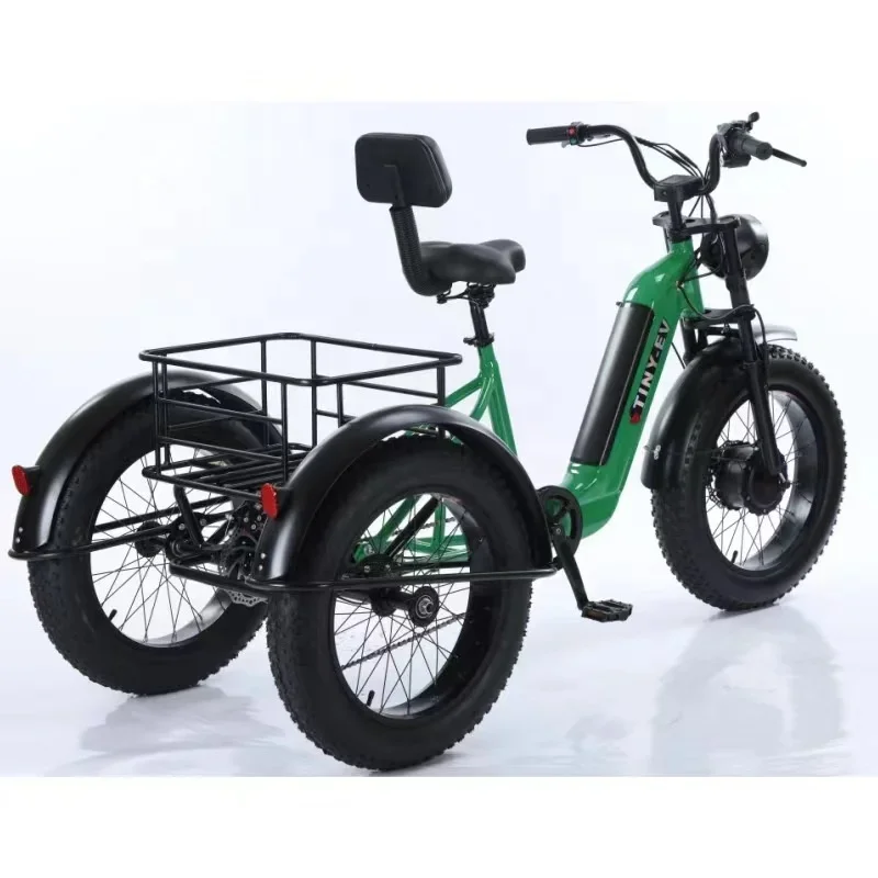 Three Wheeler Heavy Loading Adult 500W Motor Bicycle City Cargo Electric Tricycle for Old Elderly People