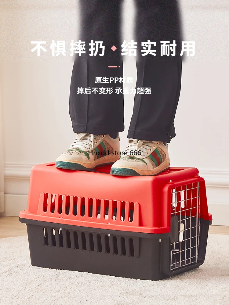 Pet portable outgoing transportation box