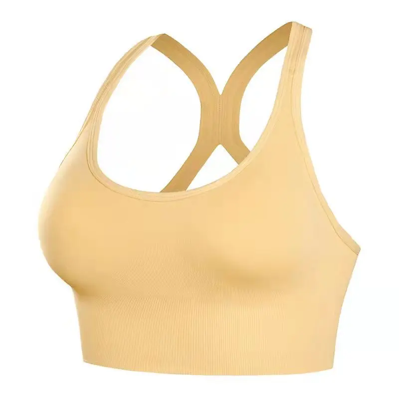 Reggiseno femminile reggiseno sportivo senza fili reggiseni per biancheria intima da donna Sexy Bralette senza cuciture con reggiseno imbottito Push